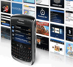 Le march� fran�ais du mobile en 2009
