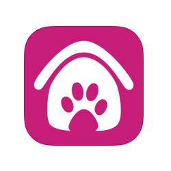 Adopte-moi, la première application d'adoption de chiens et chats Une application pour adopter un chien ou un chat abandonné