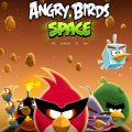 Angry Bird Space en première place des téléchargements sur l'App Store Angry Bird Space en première place des téléchargements sur l'App Store