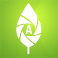 ArbrallergiK : l'application pour identifier les arbres allergisants