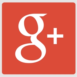 Google Photos : une alternative à Instagram signé Google ? Google Photos : une alternative à Instagram signé Google ?