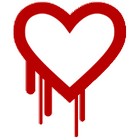 Google regroupe les meilleurs hackers pour Project Zero