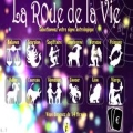 Lapplication  La roue de la vie  disponible sur iPhone et iPad