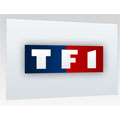 L'application TF1.fr pour l'iPhone devient gratuite