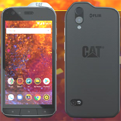 Le Cat S61, un smartphone pour survivre à la nuit du 31 octobre Le Cat S61, un smartphone pour survivre à la nuit du 31 octobre