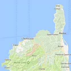 Les opérateurs viennent d'inaugurer un site d'accès à l'internet mobile multi-opérateurs en Haute-Corse Inauguration du site d'accès à l'internet mobile multi-opérateurs à Olmi-Cappella, en Haute-Corse
