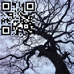 Des QR codes sur les tombes pour un hommage numrique