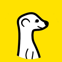 Meerkat ne russit pas dans le live streaming