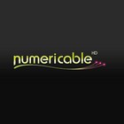 Rachat de SFR : Numericable empruntera moins que prévu auprès des banques Rachat de SFR : Numericable empruntera moins que prévu auprès des banques