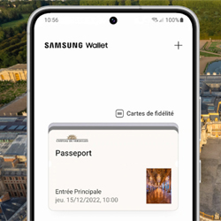 Samsung Wallet volue vers une nouvelle solution tout-en-un 