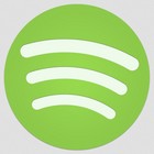 Spotify se lance dans les vidos publicitaires 