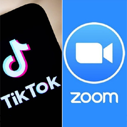 TikTok et Zoom : deux applications avec une croissance fulgurante