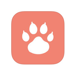 La premire application de rencontres pour les chiens et leurs matres