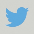 Twitter teste un fil d'actualités basé sur la pertinence Twitter teste un fil d'actualités basé sur la pertinence