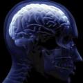 Un diagnostic pour le Parkinson bientôt disponible directement sur smartphone Un diagnostic pour le Parkinson bientôt disponible directement sur smartphone