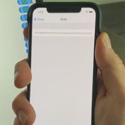 Un message textuel piégé circule actuellement pour faire planter les iPhones Un message textuel piégé circule actuellement pour faire planter les iPhones