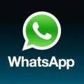 WhatsApp compte plus de membres de Twitter