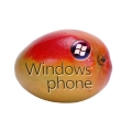 Windows Phone 7 : quatre nouveaux modles rcemment prsents