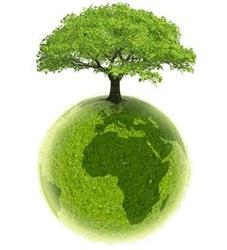 Le tlphone mobile et lenvironnement, font-ils bon mnage ?