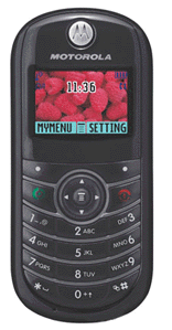 Motorola C139