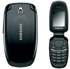 Samsung  SGH-C520