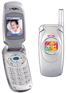 Samsung SGH-S300