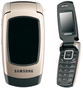 Samsung  SGH-X500