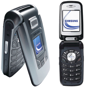 Samsung SGH-Z310